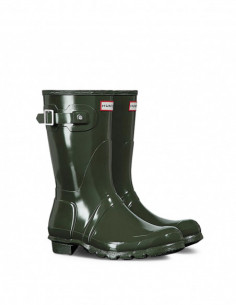 Hunter - WFS1000RGL 2