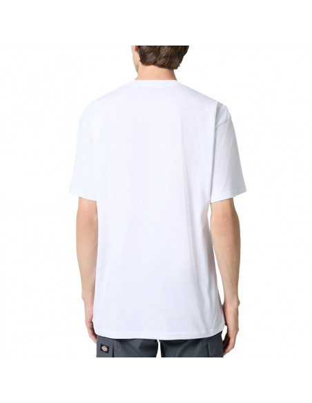 Vans - VN0A3CZEYB21-