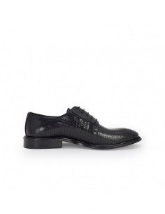Duca di Morrone - FILIBERTO-INT