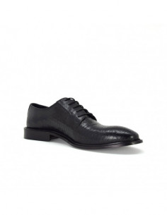 Duca di Morrone - FILIBERTO-INT 2