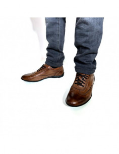 Duca di Morrone - RAUL 2