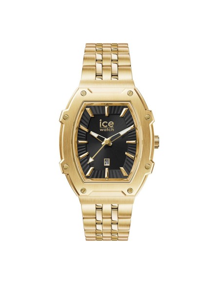 ICE Watch Boliday 024551 Ladies Watch